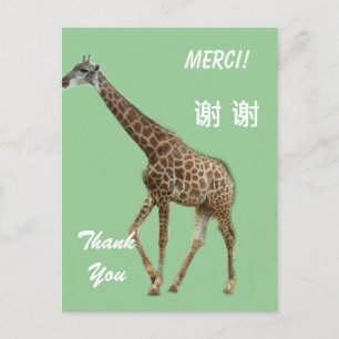 English/French/Chinese thank you card