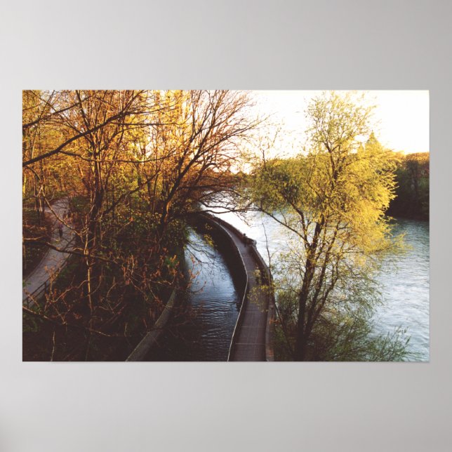 English garden, Munich, Germany Poster (Front)