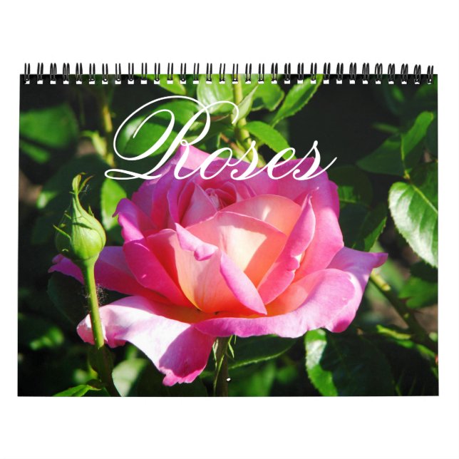 English Garden Roses Calendar (Cover)