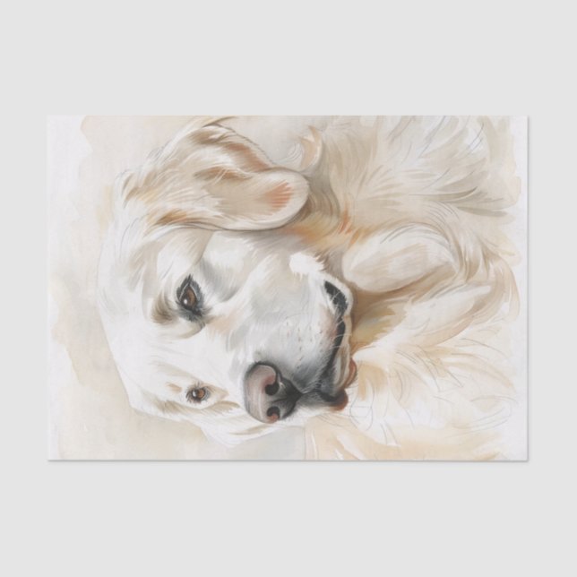 English Golden Retriever7 Tissue Paper (Front)