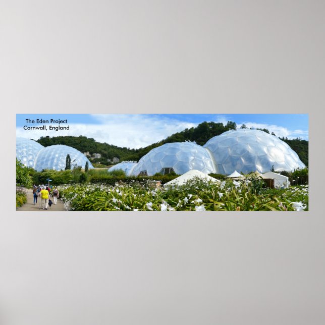 English image for poster (Front)