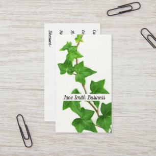 English Ivy White Background Green Vine Business Card