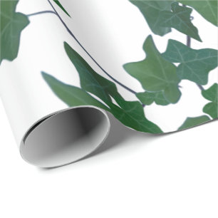 English Ivy  Wrapping Paper