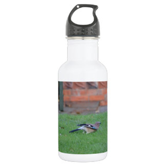 English Jay 532 Ml Water Bottle