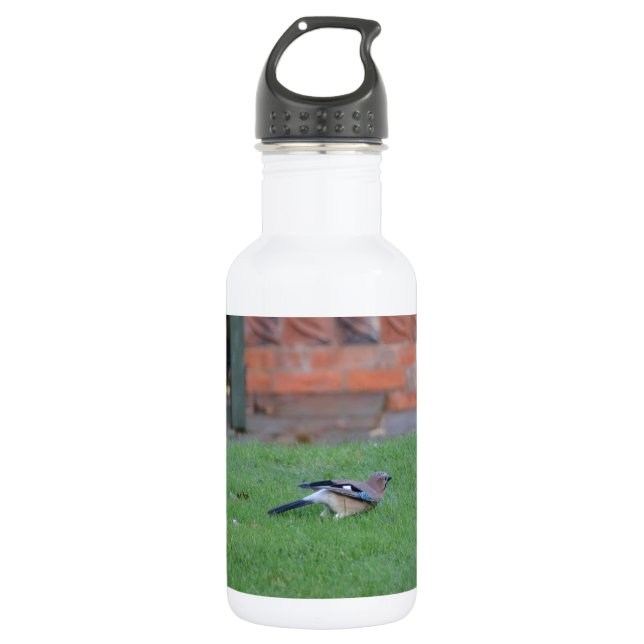 English Jay 532 Ml Water Bottle (Front)