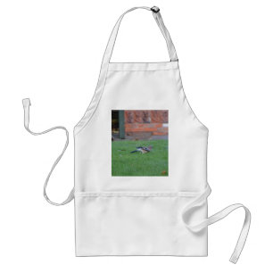 English Jay Standard Apron