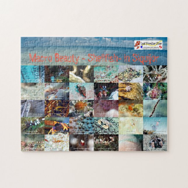 English : Macro Beauty - Shellfish- in Siquijor Jigsaw Puzzle (Horizontal)