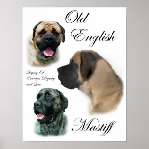 English Mastiff Art Prints