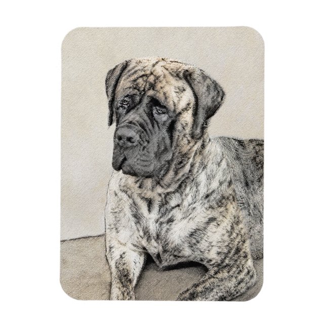 English Mastiff (Brindle) Painting - Dog Art Magnet (Vertical)