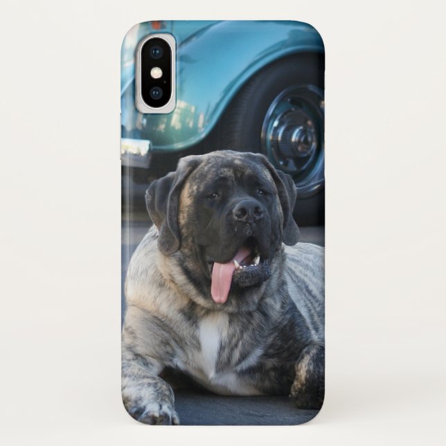 English Mastiff dog iPhone X case (Back)
