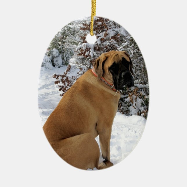 English Mastiff dog "Snow Pose" photo Ceramic Tree Decoration (Front)