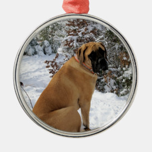 English Mastiff dog "Snow Pose" photo Metal Ornament