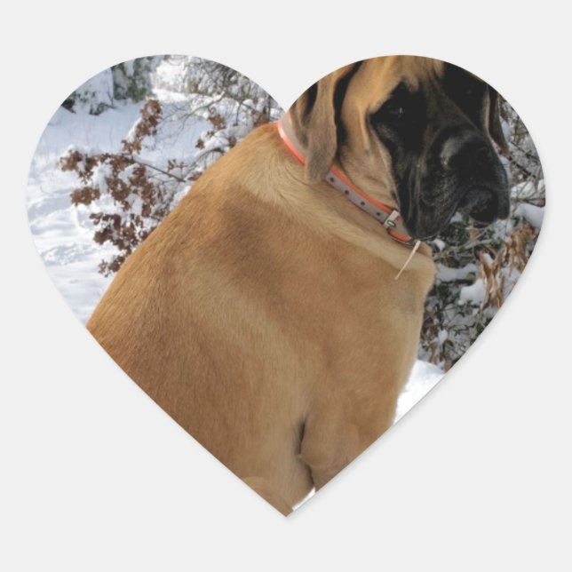 English Mastiff dog "Snow Pose" photo sticker (Front)