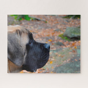 English Mastiff. Jigsaw Puzzle