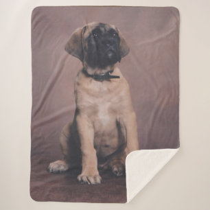 English Mastiff Puppy Sherpa Blanket