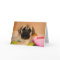 English Mastiff Puppy Valentine Card