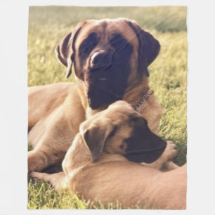 ENGLISH MASTIFFS FLEECE BLANKET