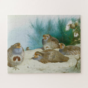 English partridge with gorse and thistles, Art Jigsaw Puzzle