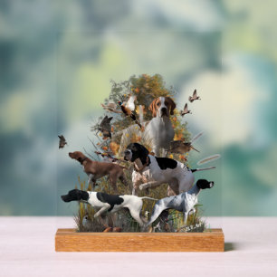 English Pointer  Acrylic Sign