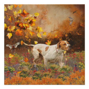 English pointer , Autumn Tapestry Poster