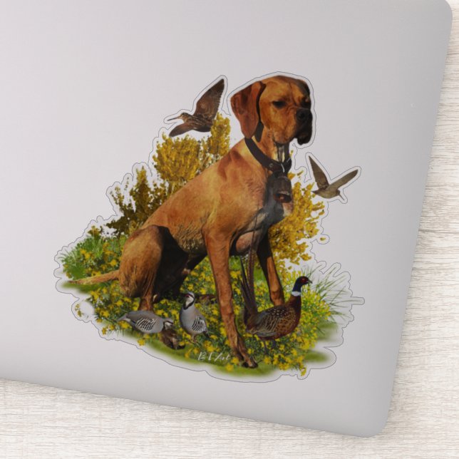 English pointer, bird hunting  (Detail)