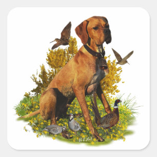 English pointer, bird hunting  square sticker