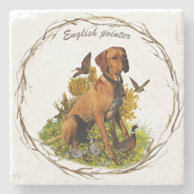English pointer, bird hunting  stone coaster (Front)