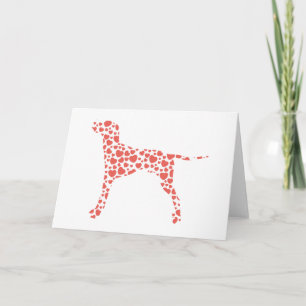 English Pointer Card