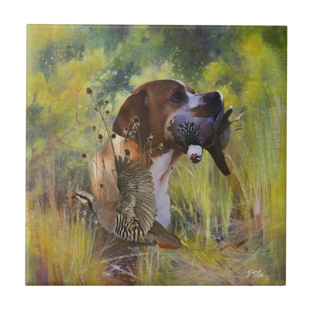 English Pointer   Ceramic Tile (Front)