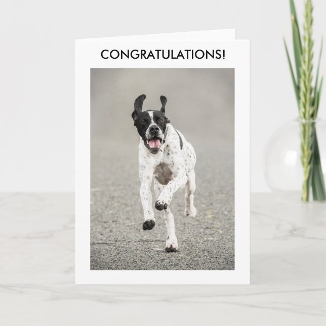 English Pointer Congratulations Card (Front)