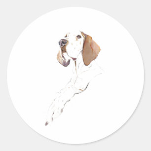 English Pointer Dog Sticker
