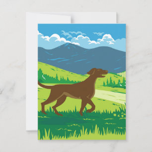 English Pointer Dog with Mount Redfield in the Adi Postcard