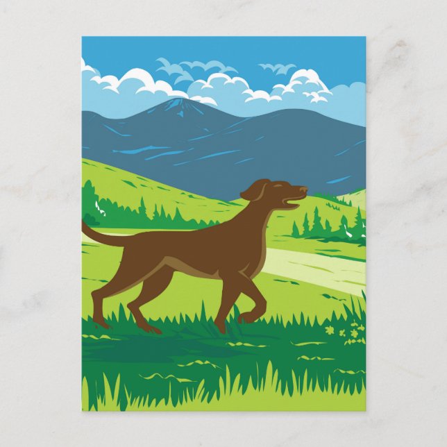 English Pointer Dog with Mount Redfield in the Adi Postcard (Front)