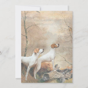 English Pointer  Invitation