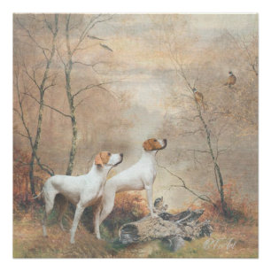 English Pointer is hunting the Pheasants  Poster