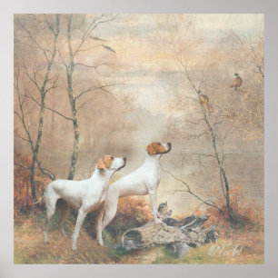English Pointer is hunting the Pheasants   Poster