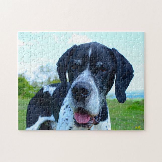 English Pointer. Jigsaw Puzzle (Horizontal)