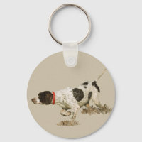 English Pointer