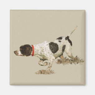 English Pointer Magnet