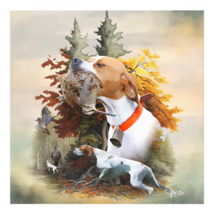 English Pointer  Photo Print
