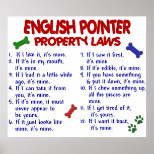 ENGLISH POINTER PL2 POSTER