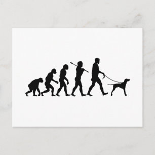 English Pointer Postcard