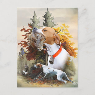 English Pointer  Postcard