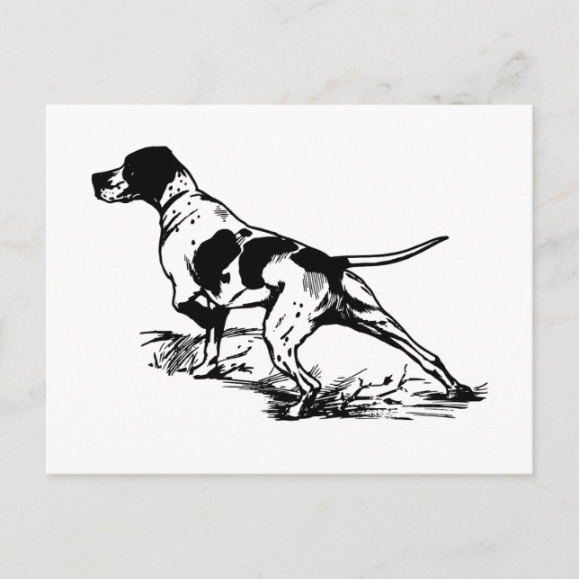 English Pointer Postcard (Front)