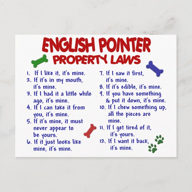 ENGLISH POINTER Property Laws 2 Postcard (Front)