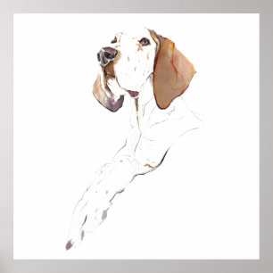 English Pointer Wall Art Poster, Dog Art Print