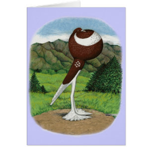English Pouter Pigeon With Mountains