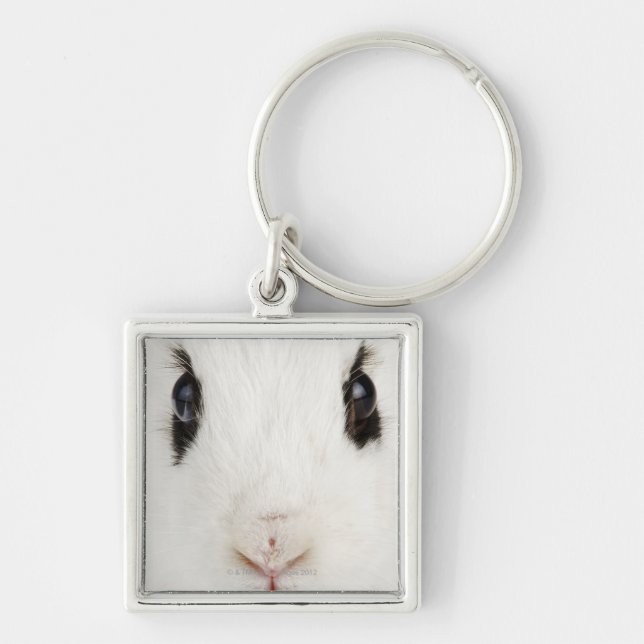 English rabbit (Oryctolagus cuniculus) Key Ring (Front)