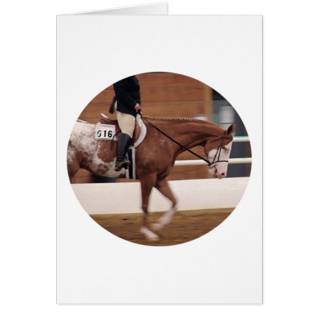 English Riding (Front)