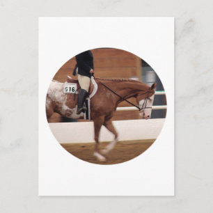 English Riding Postcard